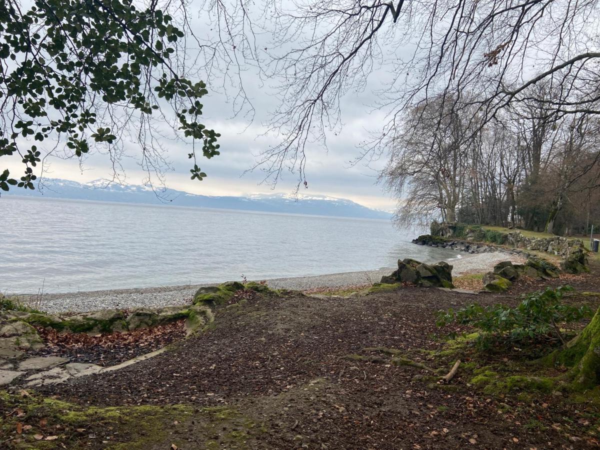 Bord De Lac,2 Chambres Superbe Vue Lac 5Mn Evian Lugrin Exterior photo