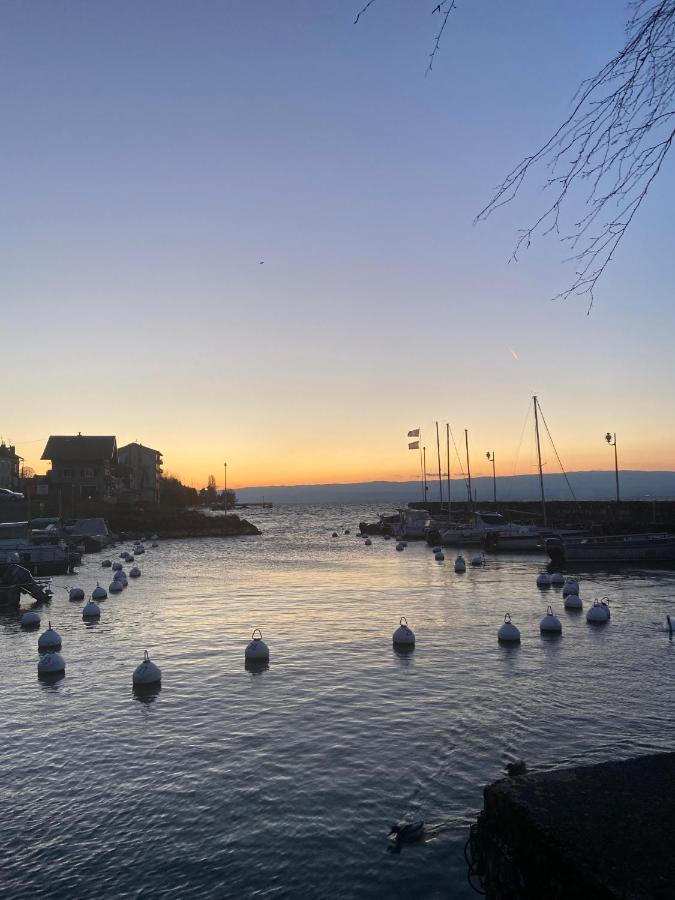 Bord De Lac,2 Chambres Superbe Vue Lac 5Mn Evian Lugrin Exterior photo