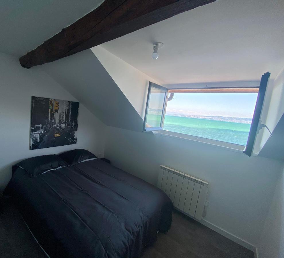 Bord De Lac,2 Chambres Superbe Vue Lac 5Mn Evian Lugrin Exterior photo